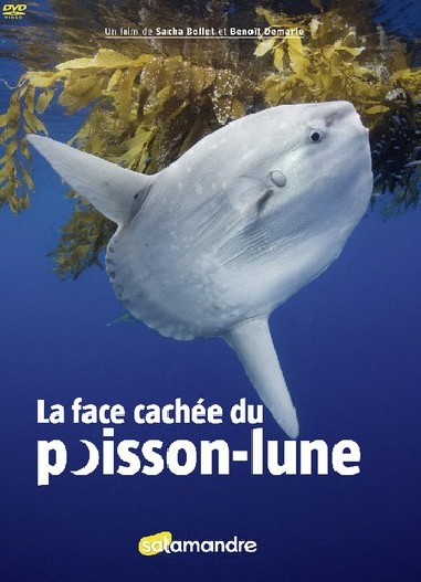 La face cachée du poisson-lune - DVD - Sacha BOLLET, Benoît DEMARLE