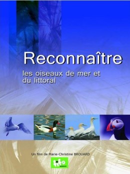 Reconnaitre les oiseaux de mer et du littoral - DVD - MC BROUARD