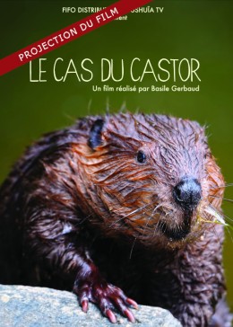 Projection Le cas du Castor - Basile GERBAUD