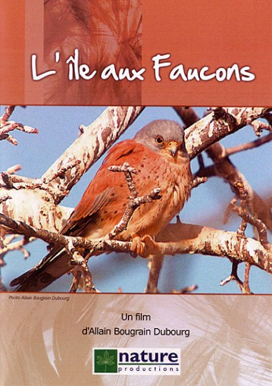 L'île aux faucons - DVD - Allain BOUGRAIN-DUBOURG