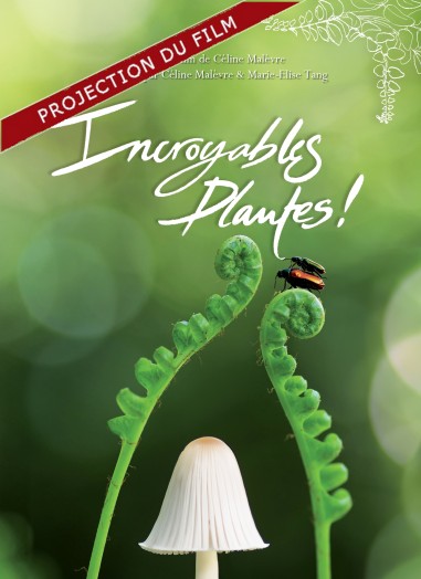 Projection-Incroyables Plantes - Céline Malèvre -