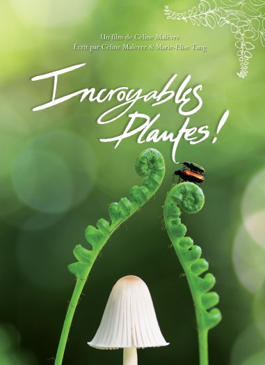 Incroyables Plantes - Céline Malèvre - DVD-