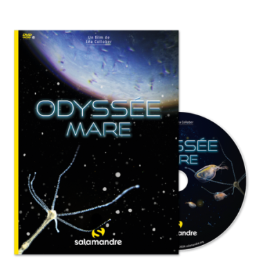 Odyssée mare- Léa Collober-DVD