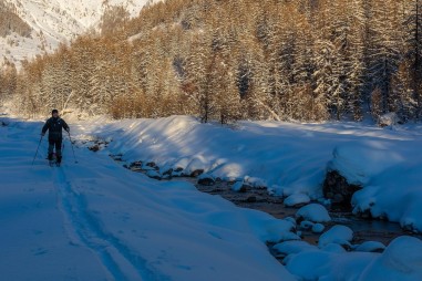 Vivre avec les loups  - Jean Michel BERTRAND-DVD