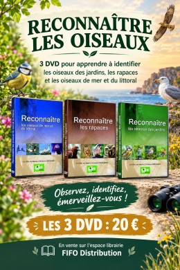 Trilogie  Reconnaître les oiseaux des jardins-Reconnaître...