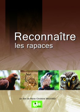 Lot de 3 DVD Reconnaître les oiseaux - M.C. Brouard 2