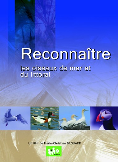 Lot de 3 DVD Reconnaître les oiseaux - M.C....