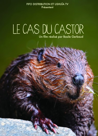 Le cas du Castor - DVD - Un film de Basile GERBAUD