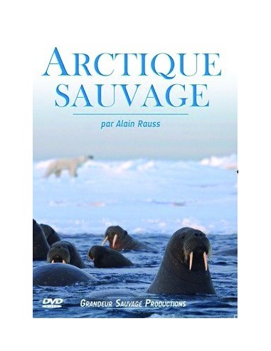Arctique sauvage - DVD - Alain Rauss