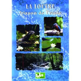 La loutre, frisson de l'onde - DVD - P. GARGUIL & C....