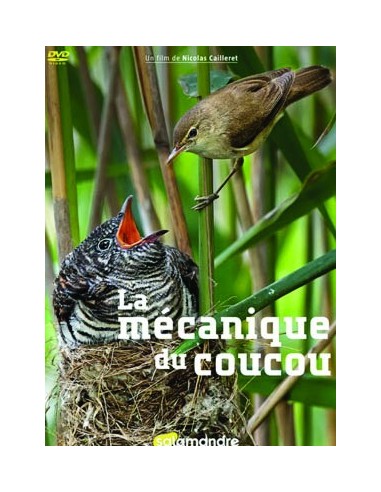 LA MECANIQUE DU COUCOU - DVD - Nicolas CAILLERET