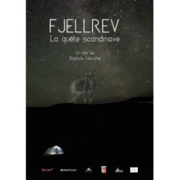 Fjellrev, La quête scandinave - Baptiste DETURCHE